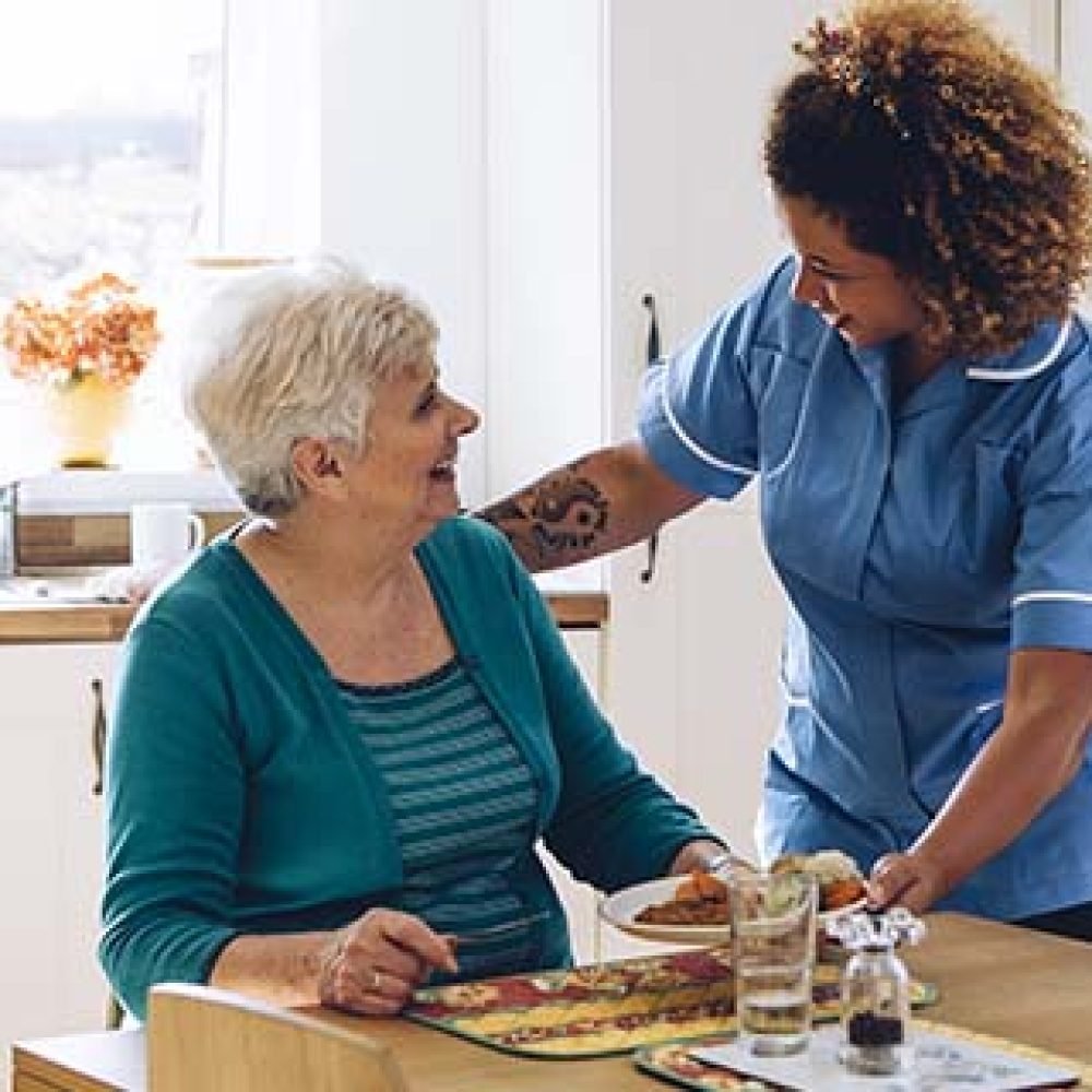 Care worker giving an old lady her dinner in her home.